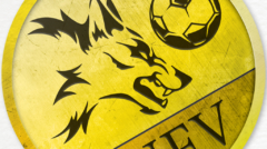 Logo New Fanta Vision